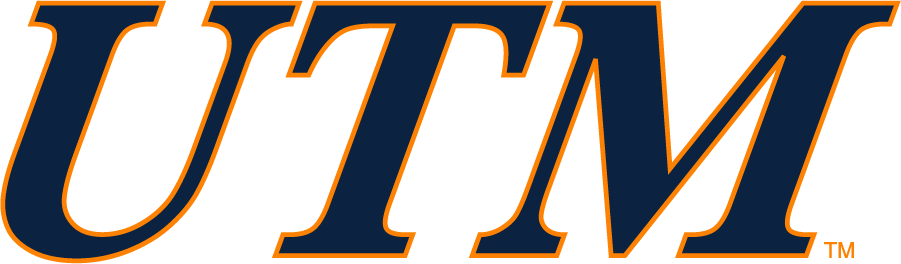 Tennessee-Martin Skyhawks 2007-2017 Wordmark Logo v2 diy DTF decal sticker